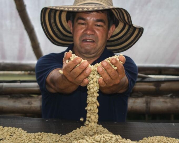 Private Tour in an Authentic, Ecological Local Coffee Finca - Recap