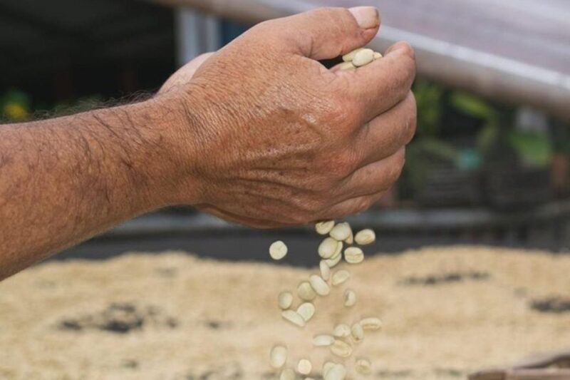 Private Tour in an Authentic, Ecological Local Coffee Finca - Tour Inclusions