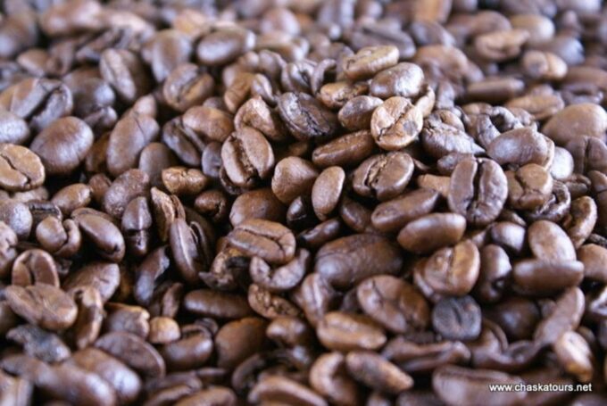 Private Tour in an Authentic, Ecological Local Coffee Finca - Coffee Tasting
