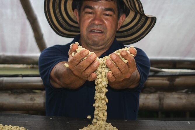 Private Tour in an Authentic, Ecological Local Coffee Finca. - Key Points