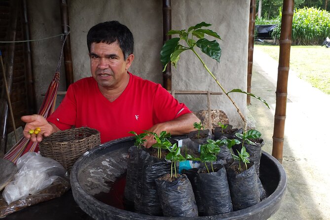 Private Tour in an Authentic, Ecological Local Coffee Finca. - Accessibility and Medical Considerations