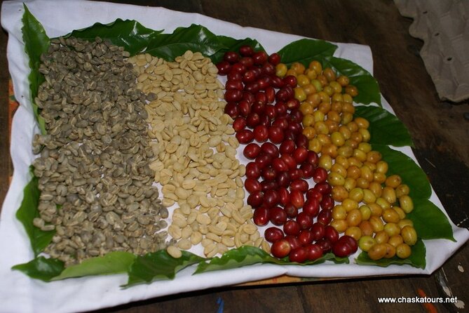 Private Tour in an Authentic, Ecological Local Coffee Finca. - Glowing Reviews From Travelers