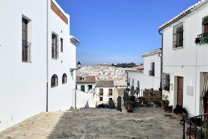 Private Tour in Antequera and Hiking in El Torcal From Costa Del Sol - Cancellation Policy