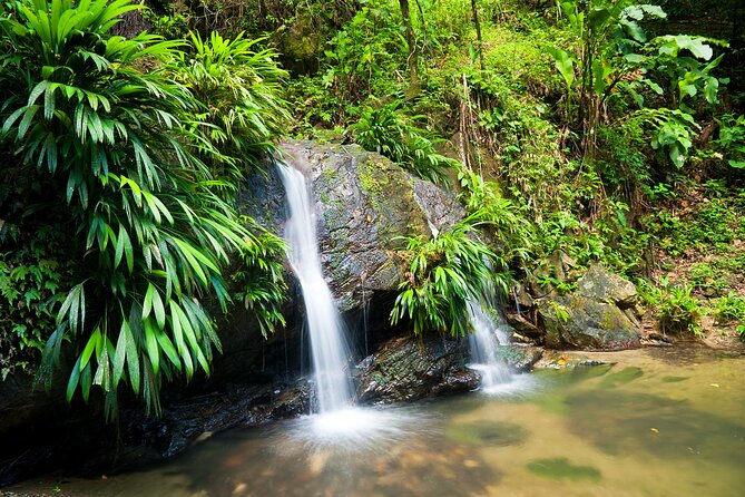 Private Tour in Aripo Waterfall Adventure From Port of Spain - Tour Overview