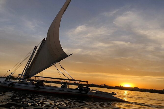 Private Tour in Aswan : Felucca and Nubian Village - Guide Professionalism