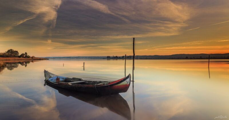Private Tour in Aveiro With Guide En English - Experience Highlights