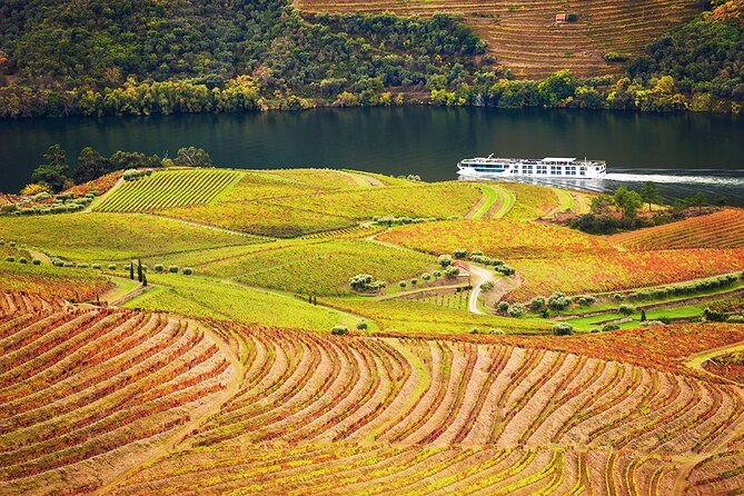 Private Tour in Douro - Traditional Regional Cuisine