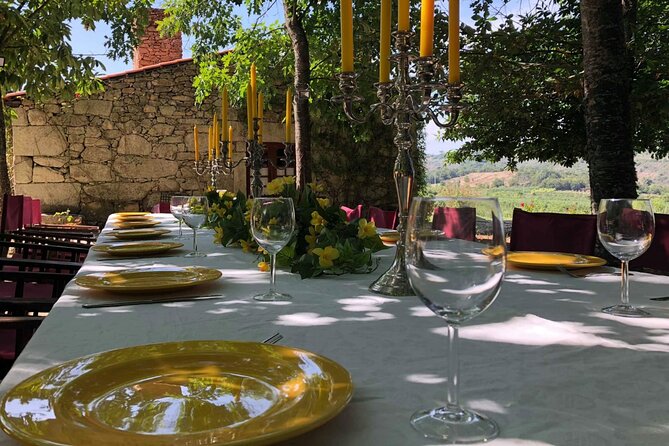 Private Tour in Douro - Admiring the Douro Landscape