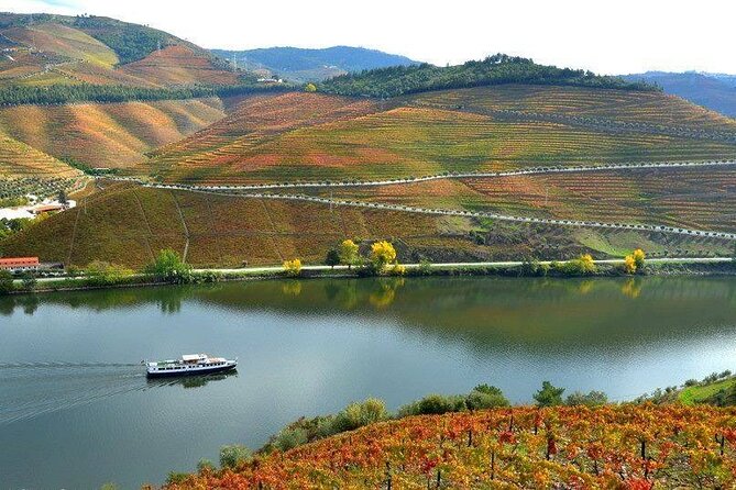 Private Tour in Douro - Historical Legacy of the Region