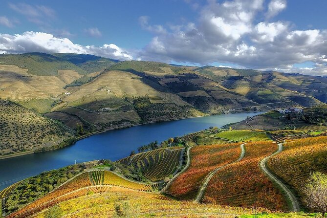 Private Tour in Douro - Accessibility and Booking Information