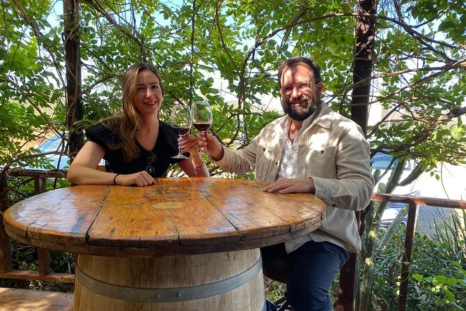 Private Tour in Guadalupe Valley, Vineyards & Wine Route ENS MX - Key Points
