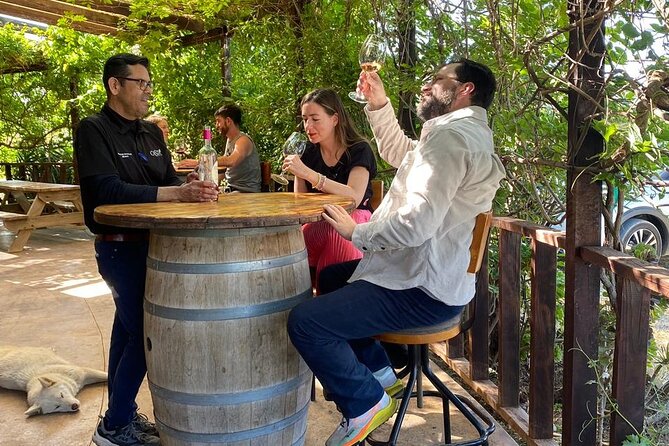 Private Tour in Guadalupe Valley, Vineyards & Wine Route ENS MX - Winery Experiences