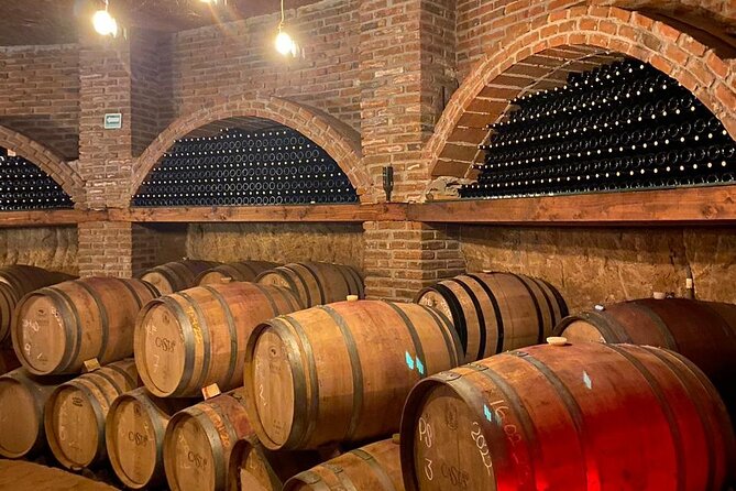 Private Tour in Guadalupe Valley, Vineyards & Wine Route ENS MX - Culinary Delights
