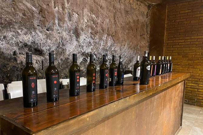 Private Tour in Guadalupe Valley, Vineyards & Wine Route ENS MX - Tour Guide Expertise