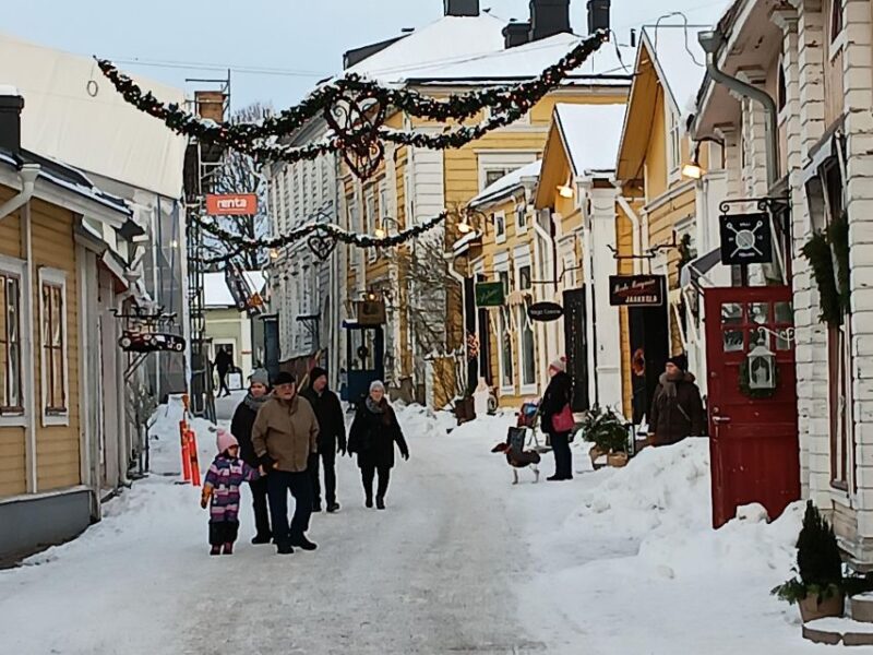 Private Tour in Helsinki and Porvoo - Experience and Accessibility