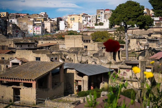 Private Tour in Herculaneum for Families From Naples - Highlights of the Tour