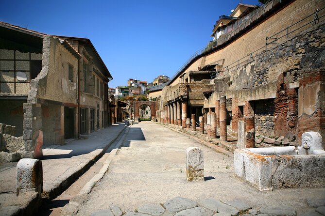 Private Tour in Herculaneum for Families From Naples - Feedback and Ratings