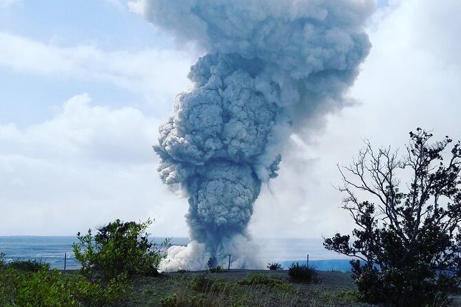 Private Tour in Hilo & Kona - Accessibility Information