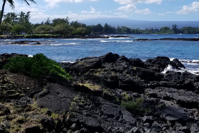 Private Tour in Hilo & Kona - Accessibility Information