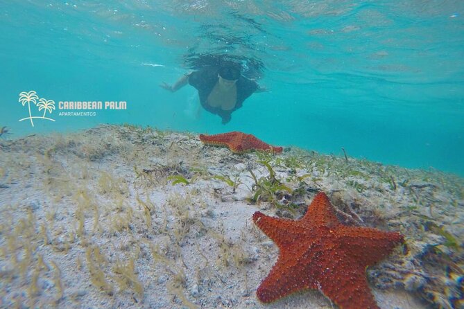 Private Tour in Luxury BOAT Over the Sea of ​​7 Colors - Customer Service