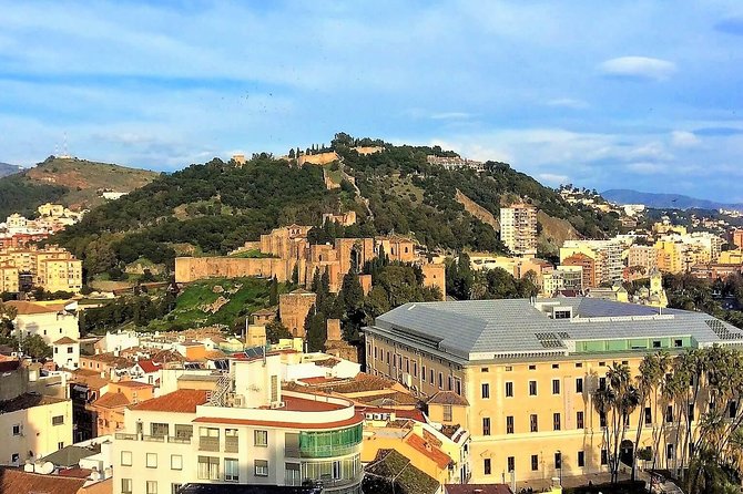 Private Tour in Malaga From Costa Del Sol - Personalized Attention