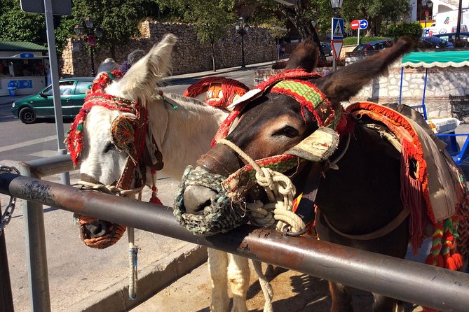 Private Tour in Mijas Pueblo From Costa Del Sol - Personalized Attention From Guide