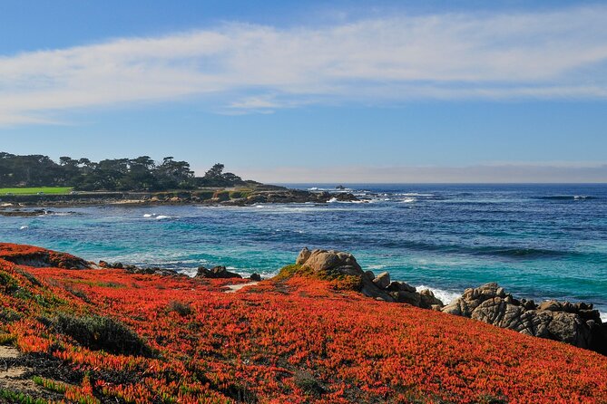 Private Tour in Monterey and Big Sur Discovery From San Jose - Memorable Moments