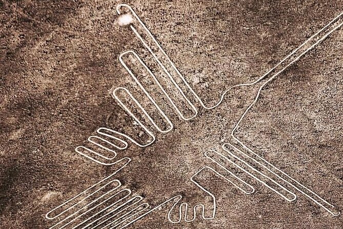 Private Tour in Nazca Lines Huacachina Oasis With Wine Tasting - Private Tour Exclusivity and Flexibility