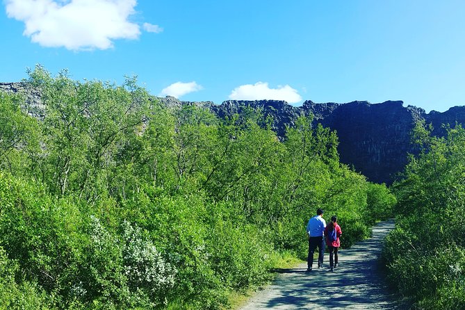 Private Tour in Northern Iceland From Akureyri - Customizable Experience