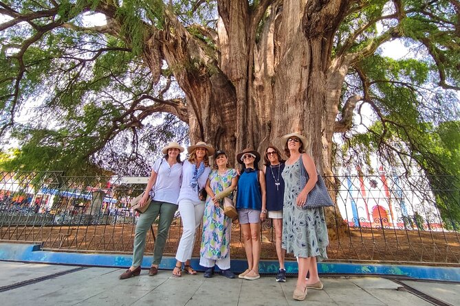 Private Tour in Oaxaca to Tule, Mezcal, Textiles, Mitla Totally Personalized - Cultural Immersion
