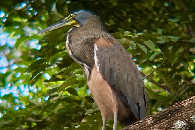 Private Tour in Palo Verde With Boat Ride - Lunch and Transportation Included