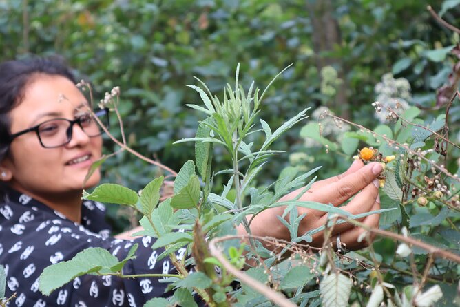 Private Tour in Pokhara Nepal With a Local Guide - Armala Village Exploration