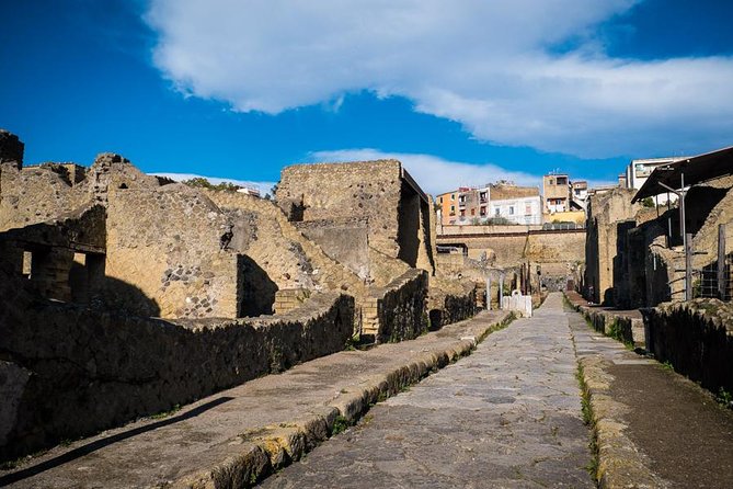 Private Tour in Pompeii at Your Pace - Exploring Pompeiis Ruins