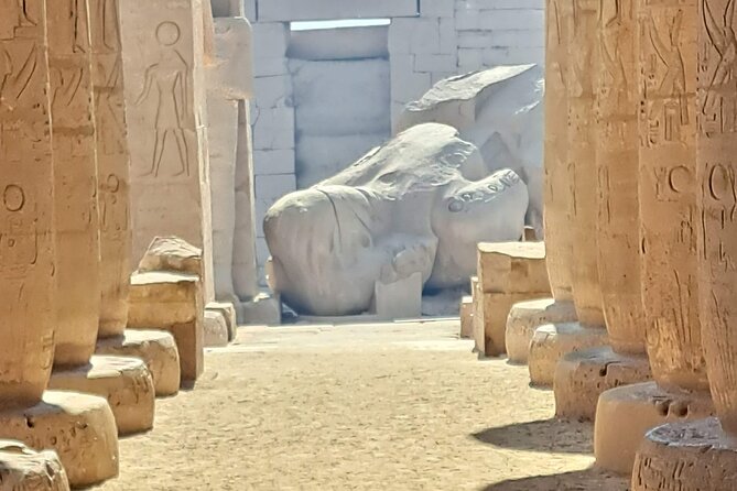 Private Tour in Ramesseum, Tombs of the Nobles and Carters House - Inclusions