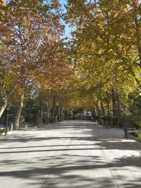 Private Tour in Ronda - Tour Highlights