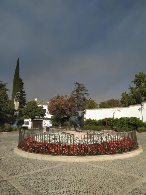 Private Tour in Ronda - Culture, History, and Panoramic Views