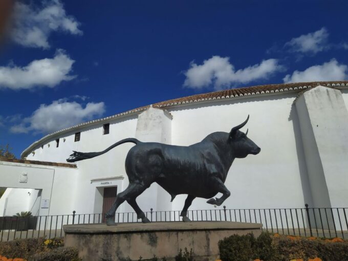 Private Tour in Ronda - Mobility Considerations