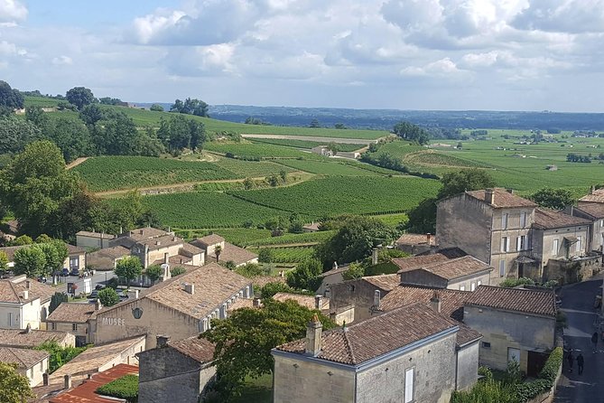 Private Tour in Saint-Emilion, Medieval Village and Wine Tasting - What to Expect