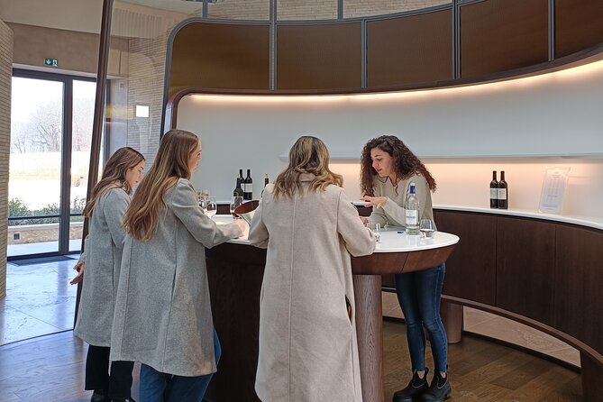 Private Tour in Saint-Emilion, Medieval Village and Wine Tasting - Tour Reviews