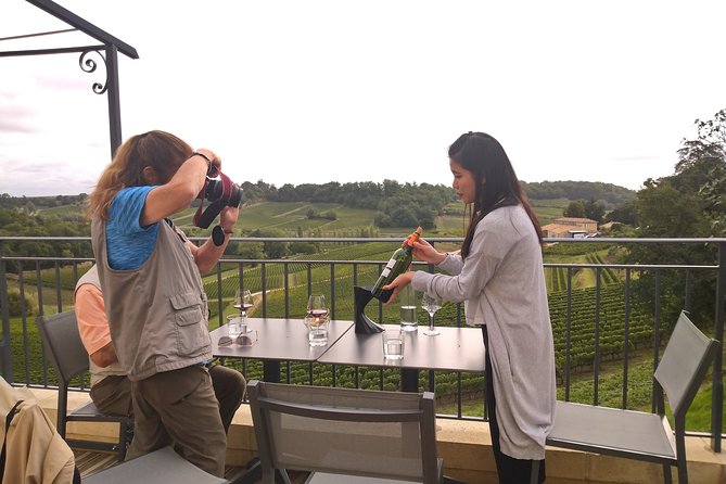 Private Tour in Saint-Emilion, Medieval Village and Wine Tasting - Experience Highlights