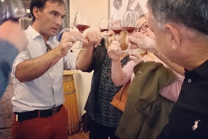 Private Tour in Saint-Emilion, Medieval Village and Wine Tasting - Accessibility Accommodations