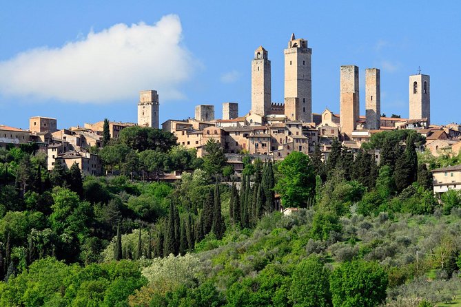 Private Tour in Siena, San Gimignano and Chianti Day Trip From Florence - Additional Offerings