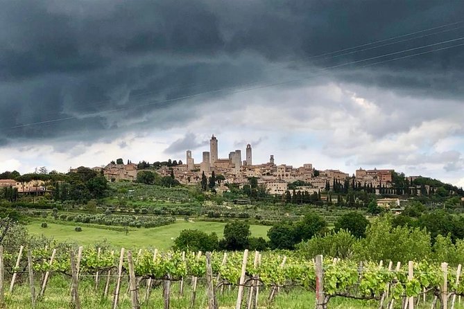 Private Tour in Siena, San Gimignano and Chianti Day Trip From Florence - Visiting San Gimignano