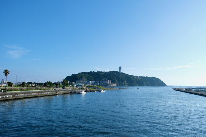 Private Tour in Slam Dunk Locations and Kamakura Sights - Kamakura Sights