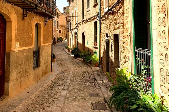 Private Tour in Soller With Local Guide - Visitor Reviews