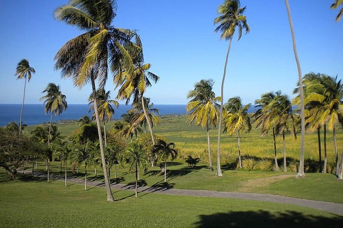 Private Tour in St. Kitts - About Your Stay