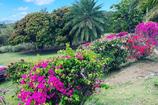 Private Tour in St. Kitts - Infant Seats Available