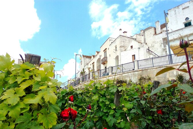 Private Tour in the Itria Valley - Product Overview and Details