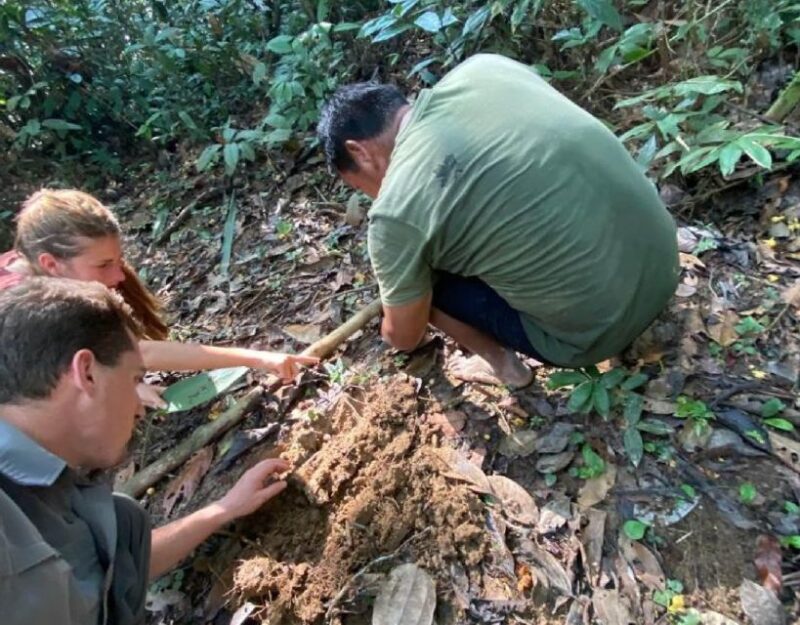 Private Tour in the Pacaya Samiria National Reserve | 4 Days - Important Information