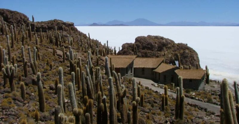 Private Tour in the Salar De Uyuni With Wine Tasting - Key Points